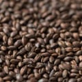 Roasted Barley: The Perfect Addition to Your Homebrew Collection