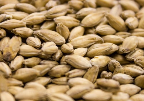 A Comprehensive Guide to Pale Malt for Homebrewing Enthusiasts